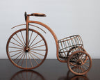 Bronze bicycle model with a small cart on a reflective surface